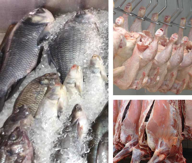 Meat/Fish/Egg processing plants